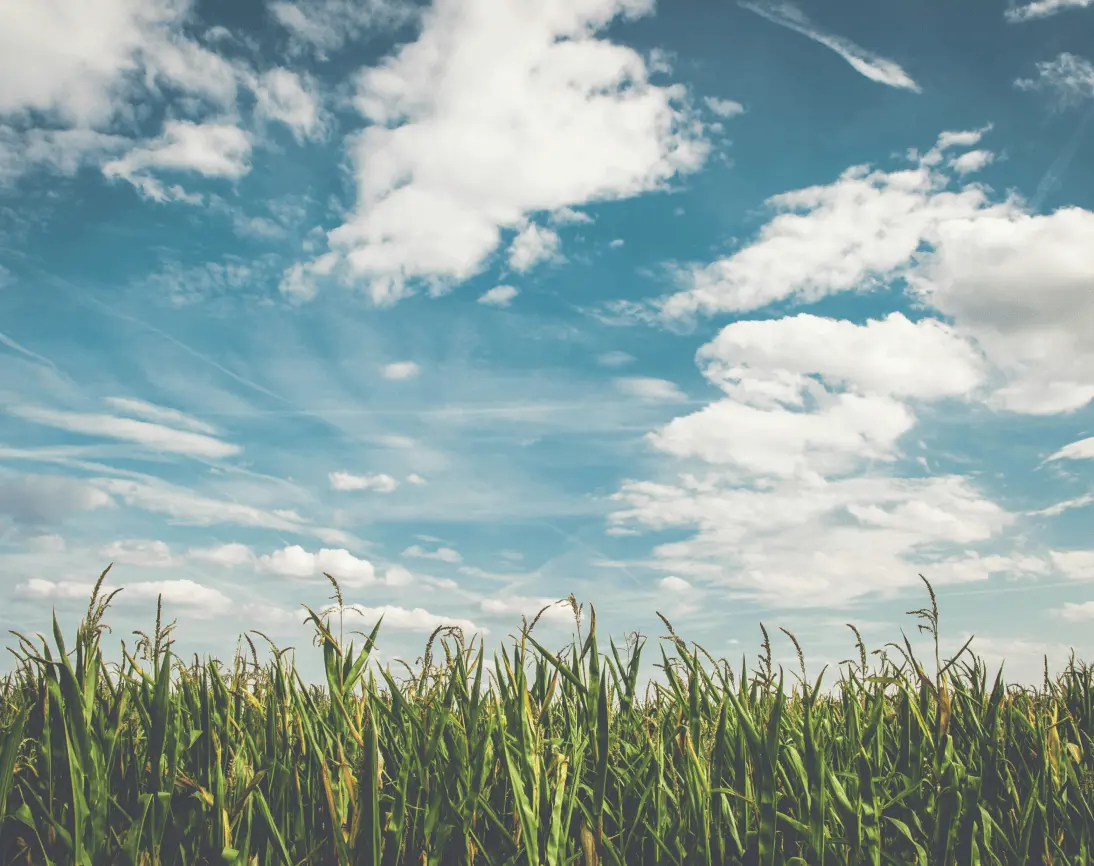 Clear sky symbolizing easy breathing